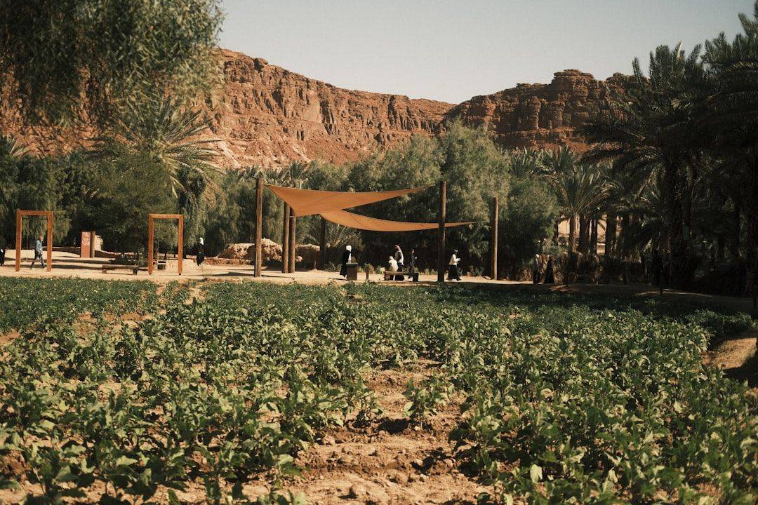 Lush green crops with people and desert mountains. (photographie d’illustration)