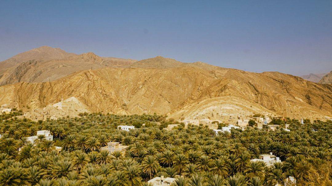 That's how the stunning palm tree villages of Nizwa look from a height. In reality, the views were even more mind blowing. (photographie d’illustration)