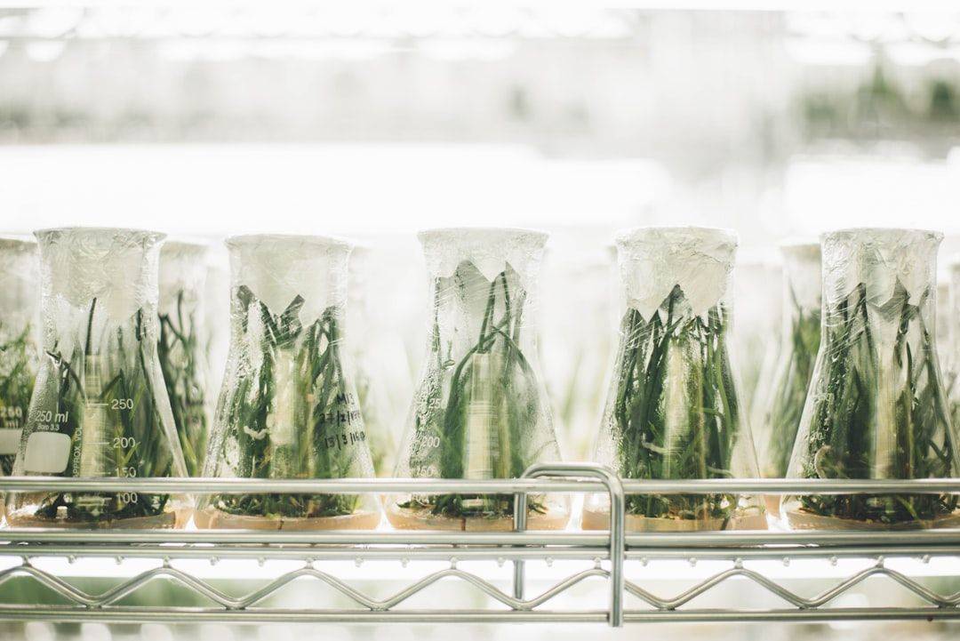 Plants in beakers (photographie d’illustration)